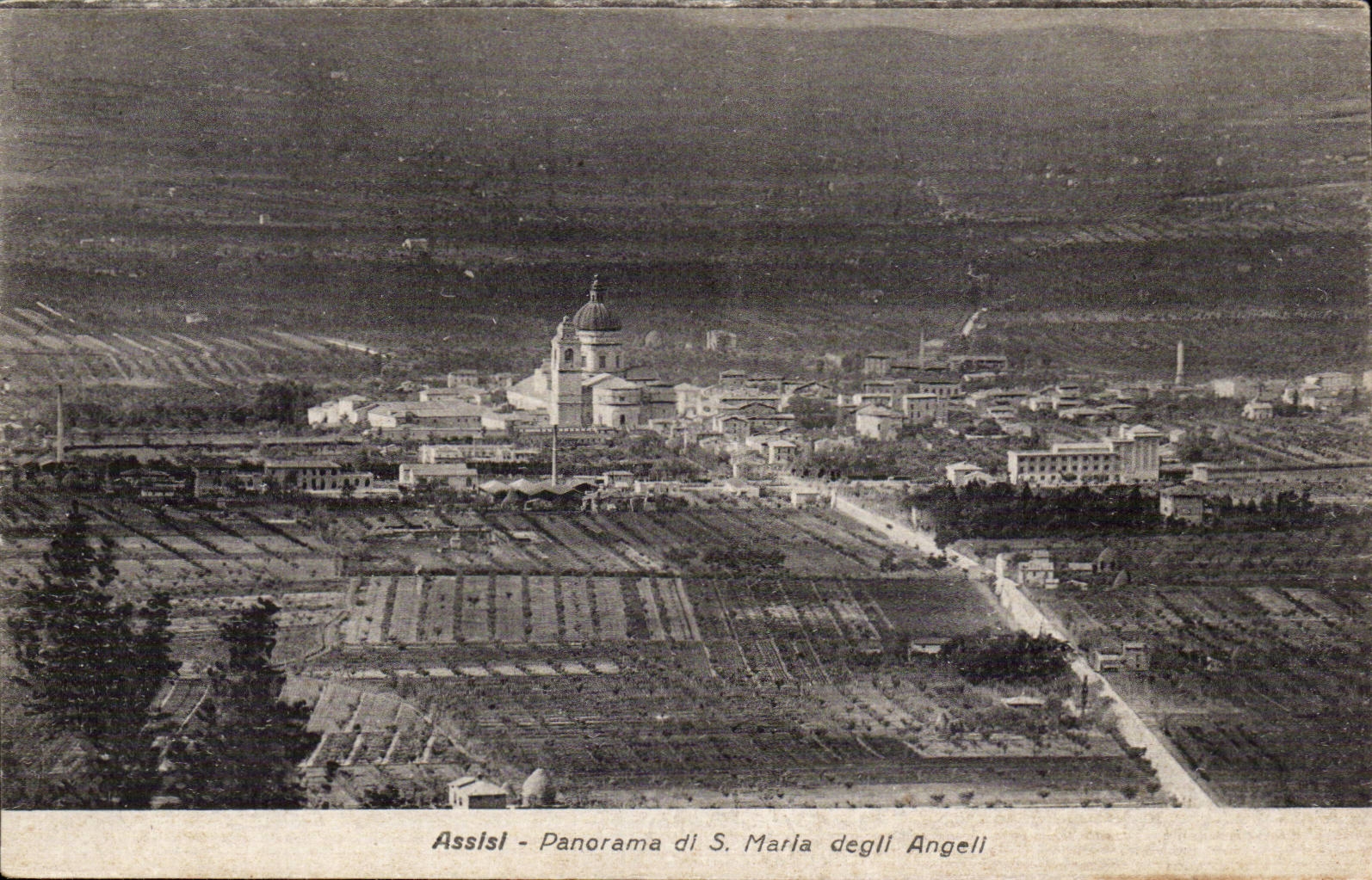 Italia - Italy - Italy - Assisi - Panorama di S Marla degli Angeli - CPA
