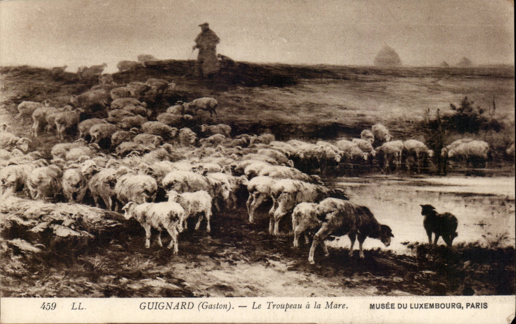 CPA Gaston Guignard Le herd with the Pond Museum of Luxembourg Paris Sheep Sheep