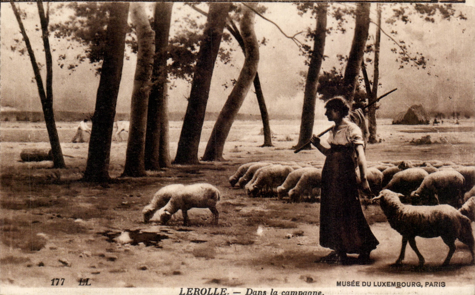 CPA Paris Museum of Luxembourg Lerolle In the countryside Sheep sheep