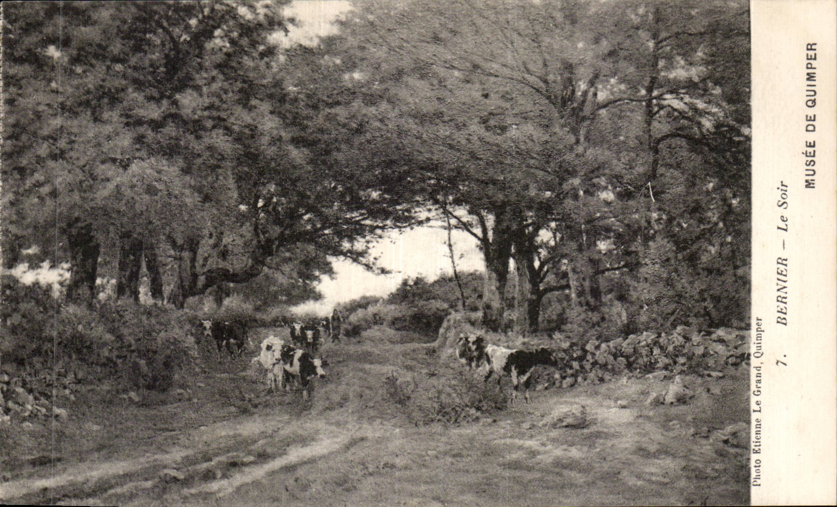 CPA Museum of Quimper Bernier the evening Cows