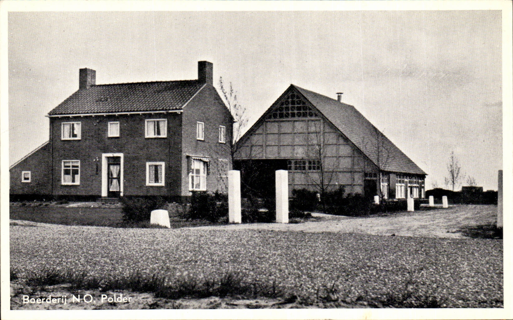 Pays Bas - Holland - Nederland - Boerderijen CPA 