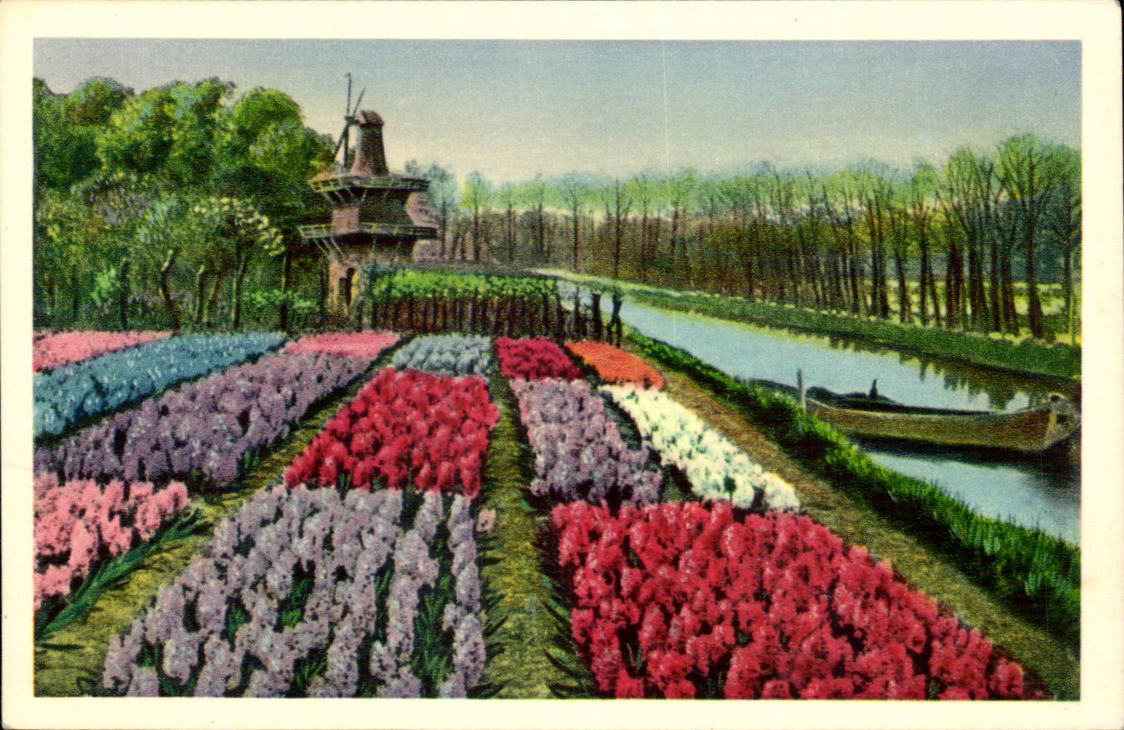 CPA the Netherlands Tulips Flowers in the fields Folklore