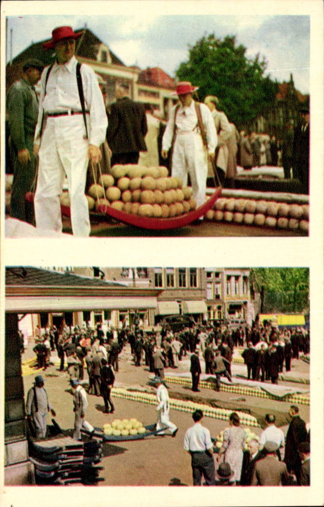 CPA Pays Bas Alkmaar Holland