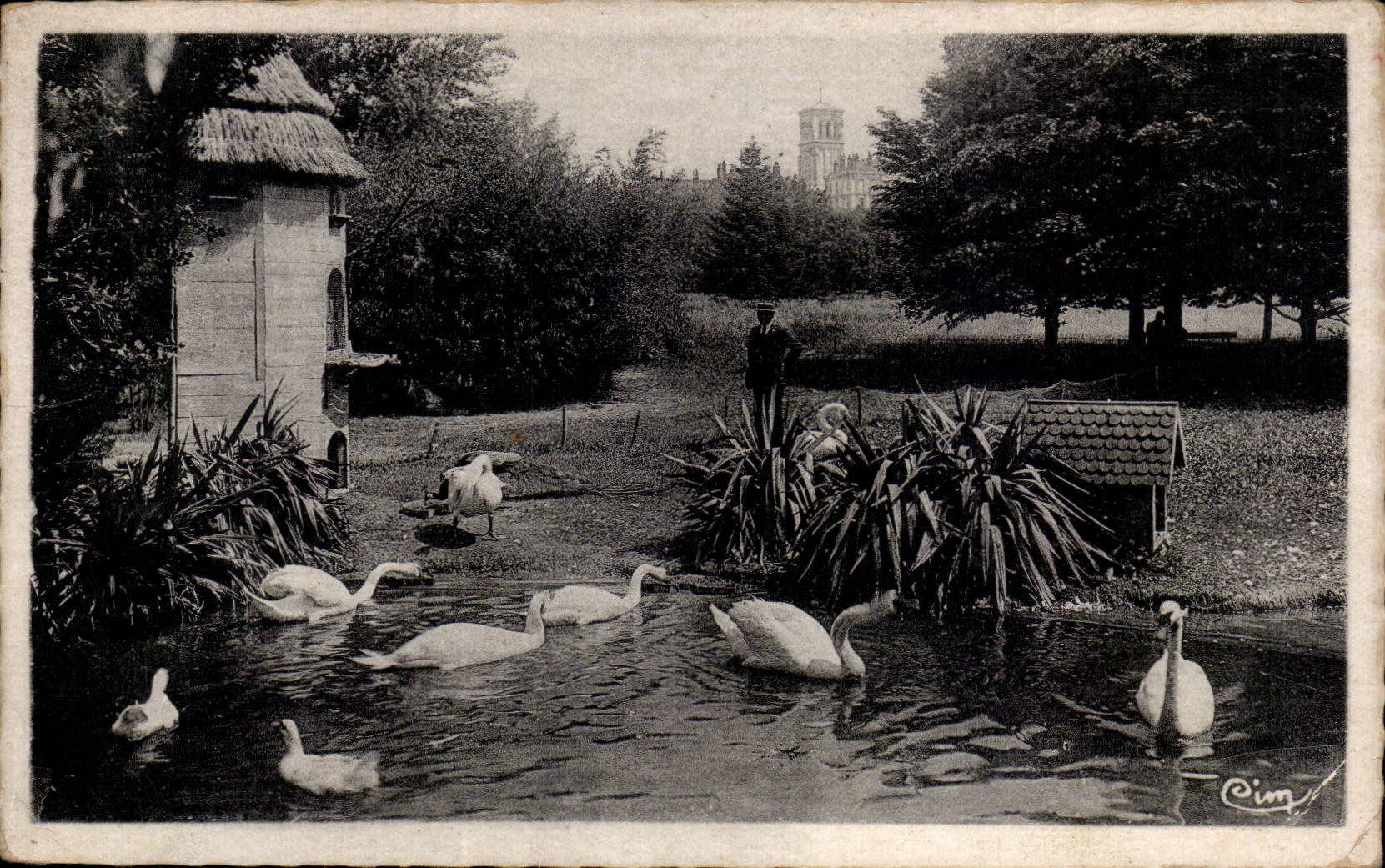 Valencia de CPA con los cisnes del parque de Jouvet