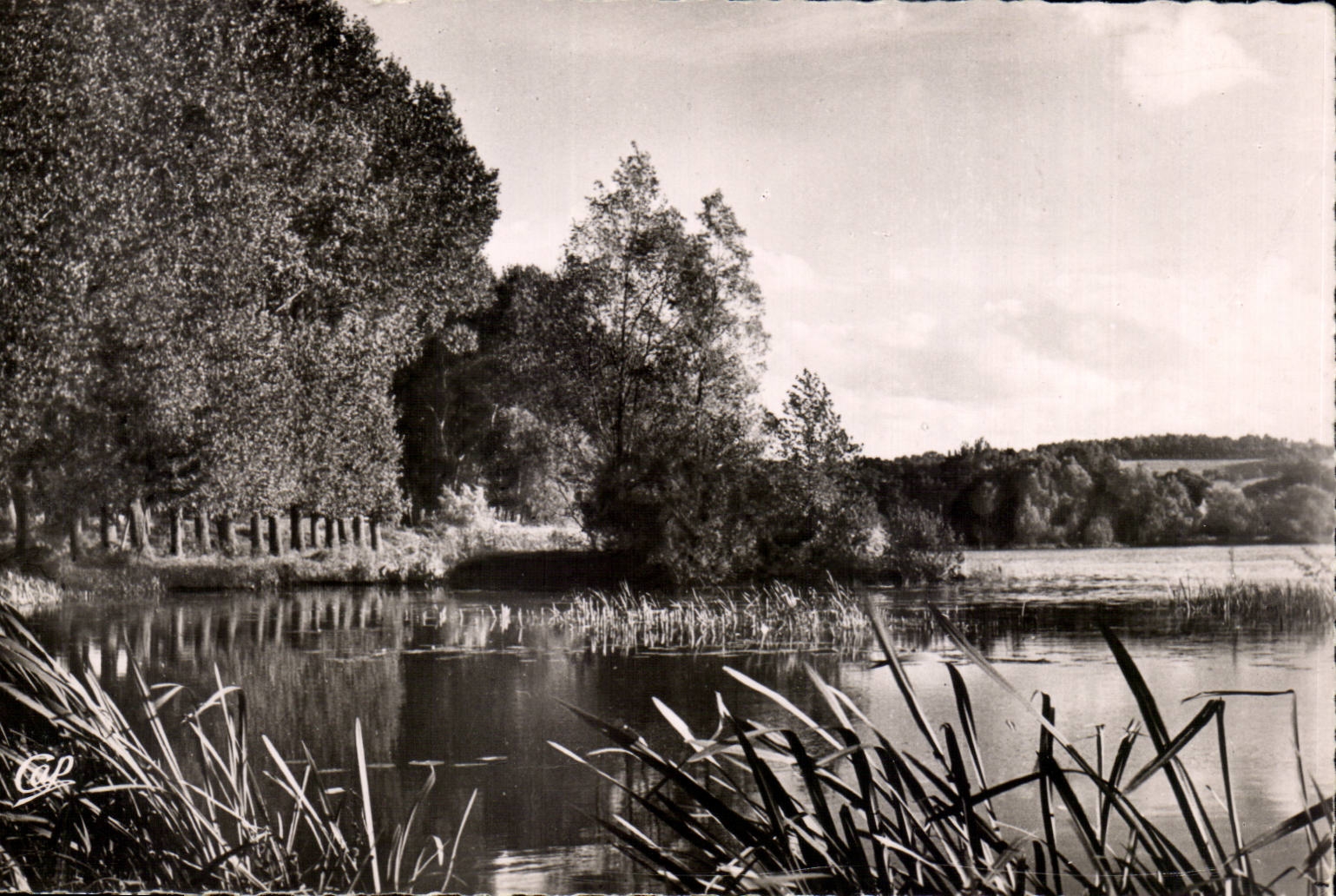 CPSM Gisors Etang de la Balastiere