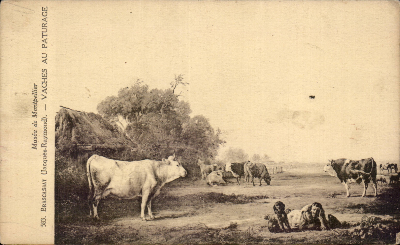 CPA Fantasy Museum of Montpellier Brascassat Cows to the pasture