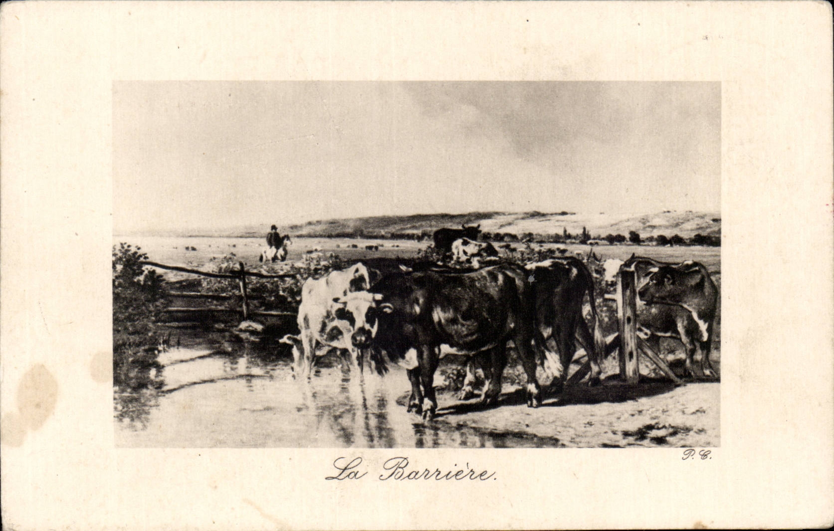 CPA Fantasy the barrier Cows