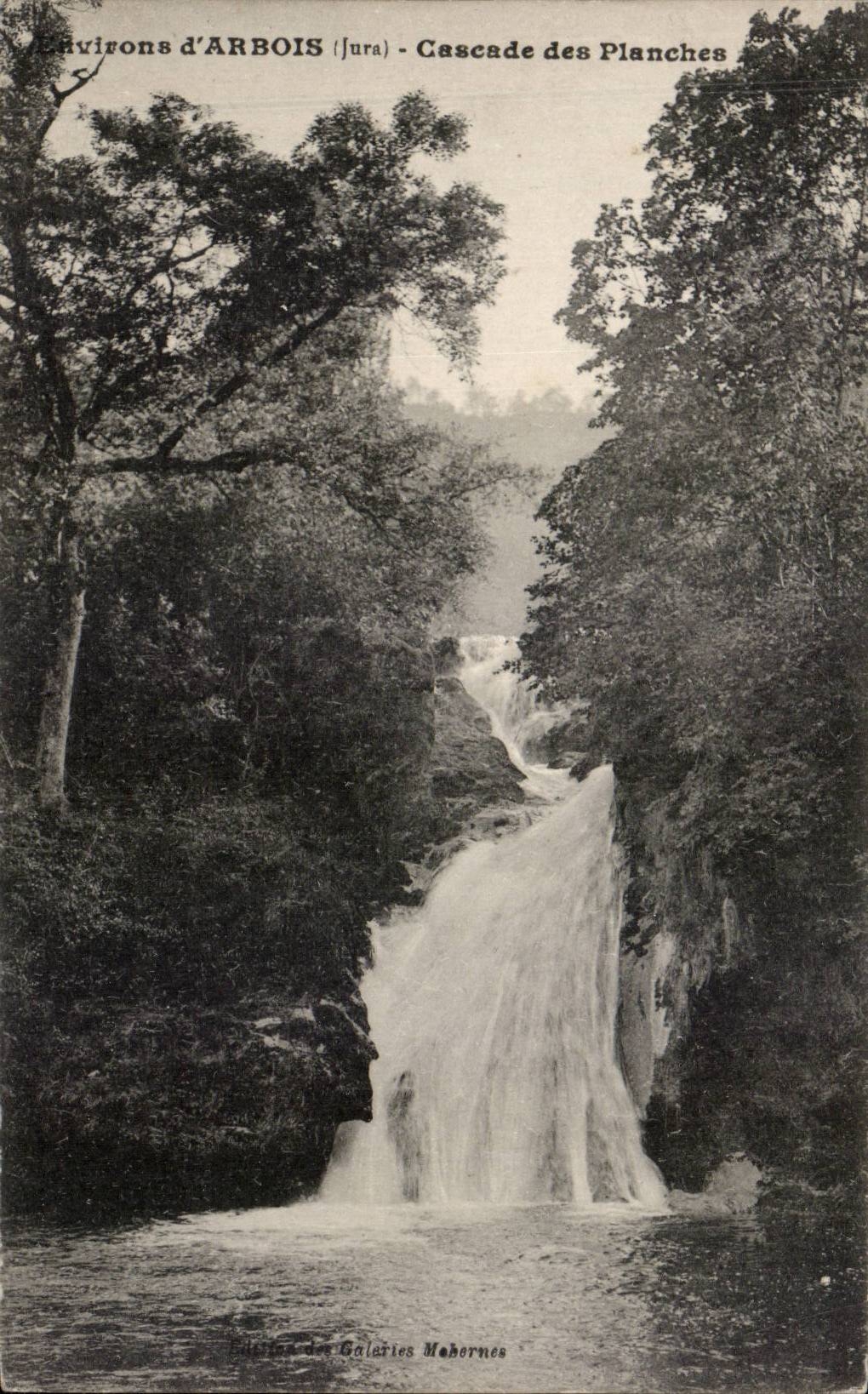 CPA Environs of Alpine laburnum Cascades of the Boards