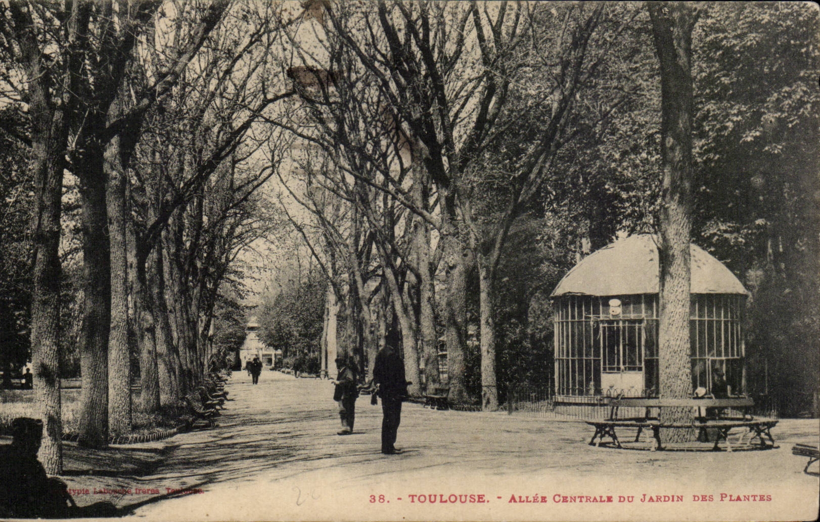 Toulouse - Allee Centrale au Jardin des Plantes - CPA 
