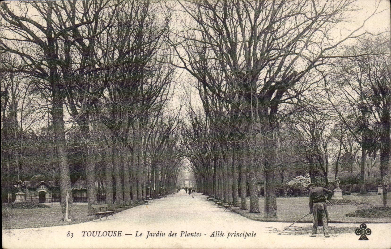 Toulouse - Le Jardin des Plantes - CPA 