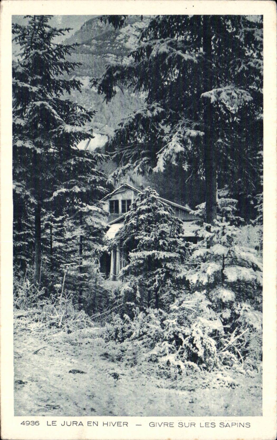 The Jura in Winter - White frost on the Fir trees - CPA