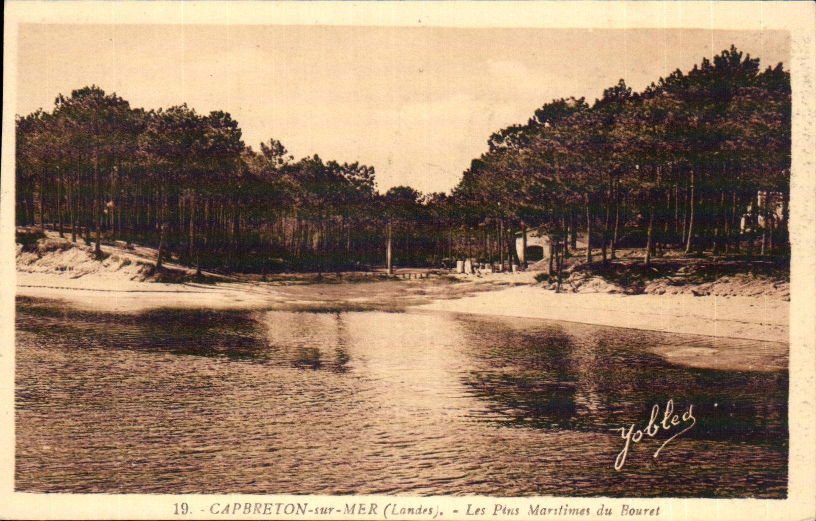 Capbreton on Sea them Maritime pines of Bouret - CPA