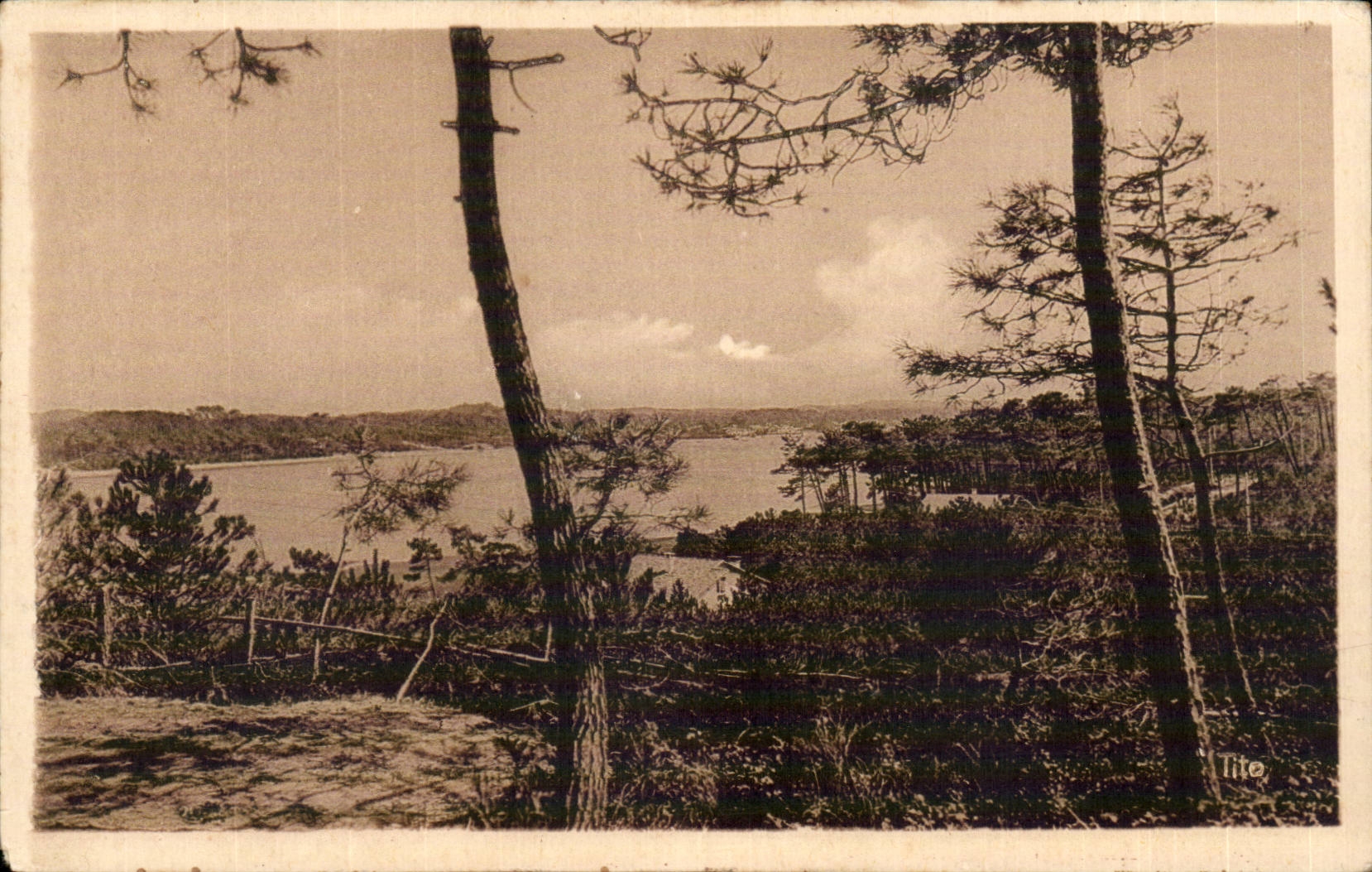 Hossegor - Pines - close Capbreton on Sea - CPA