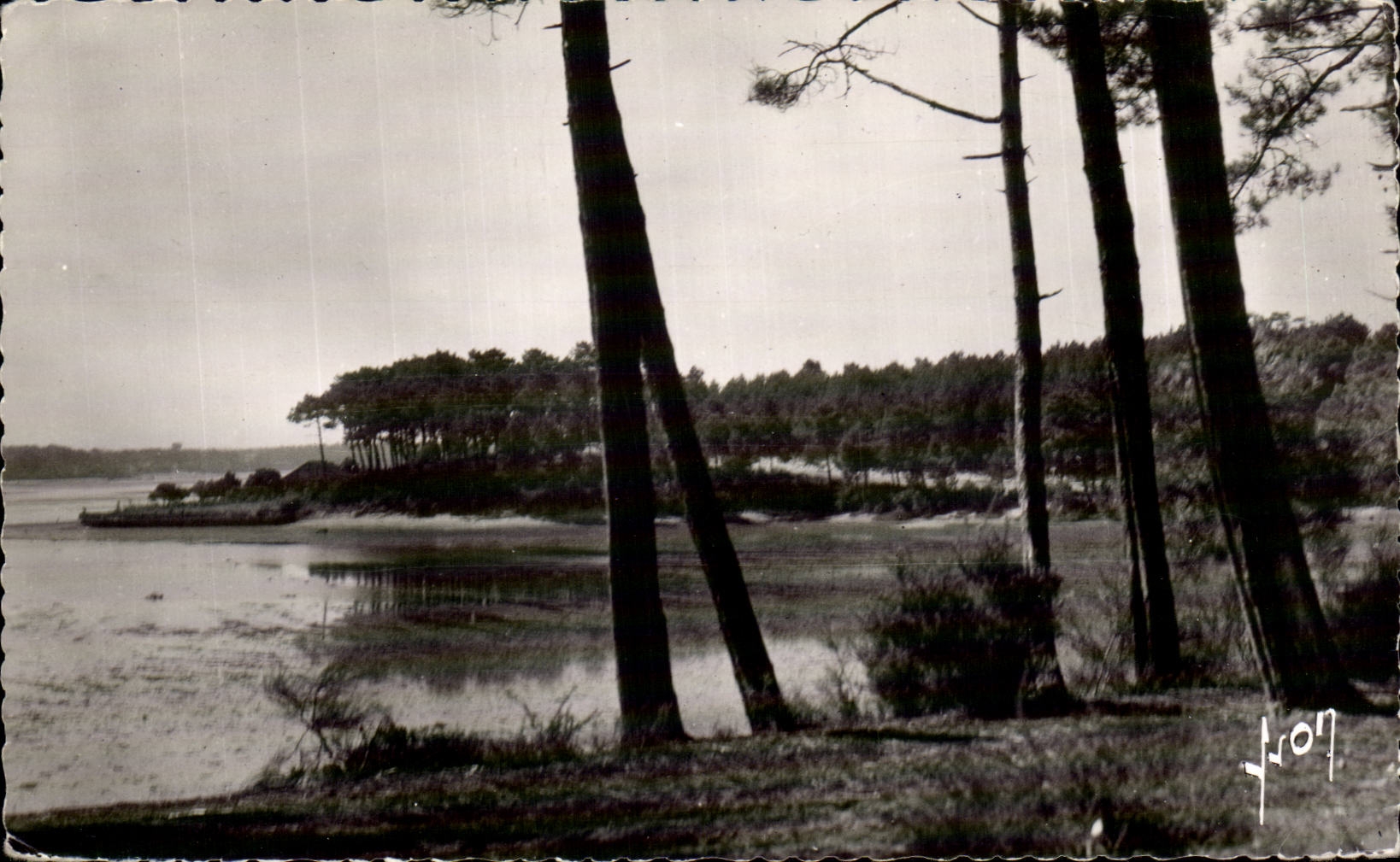 Hossegor Boils it of the Lake - close Capbreton on Mer - CPA