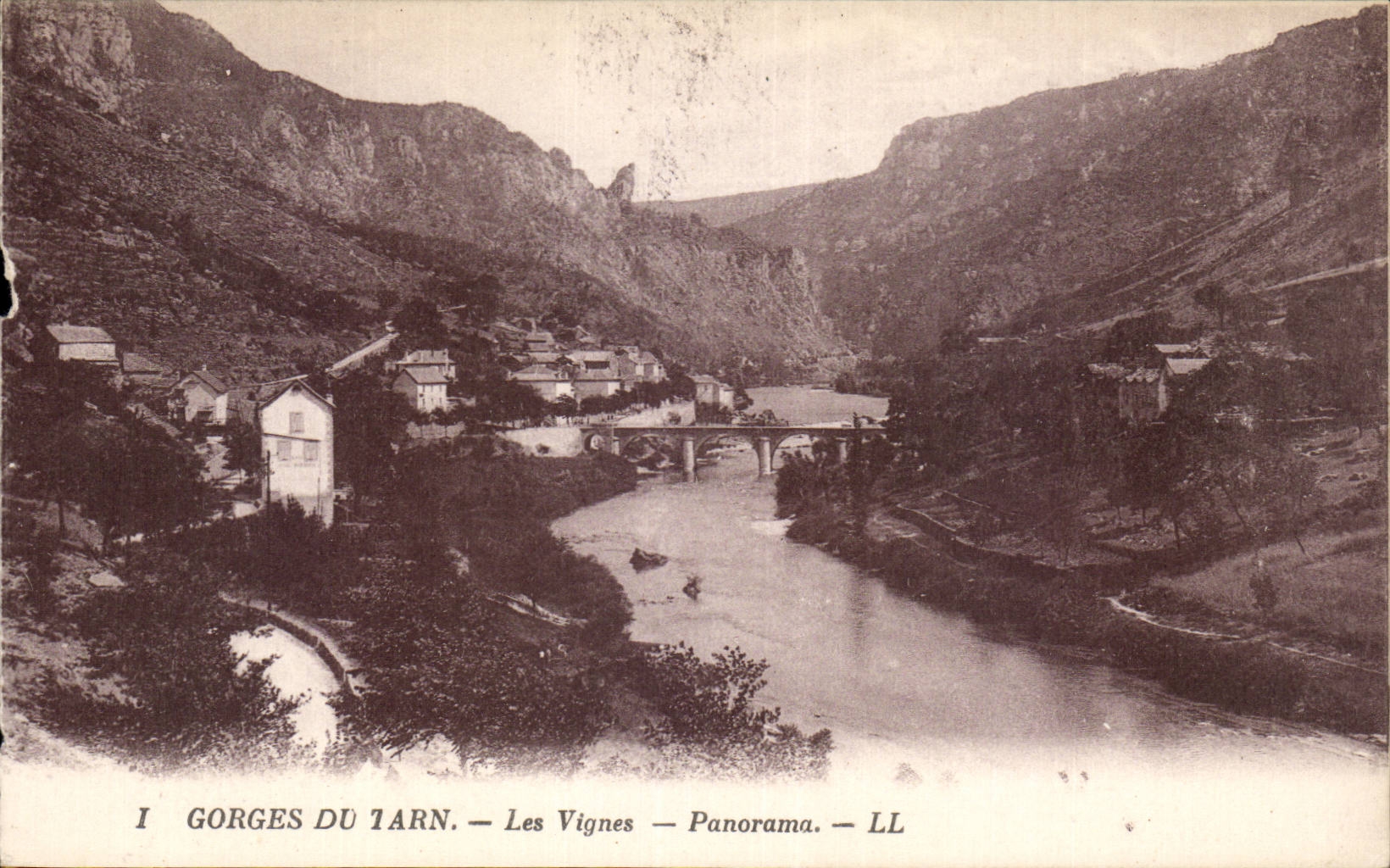 CPA Falls of the Tarn vines