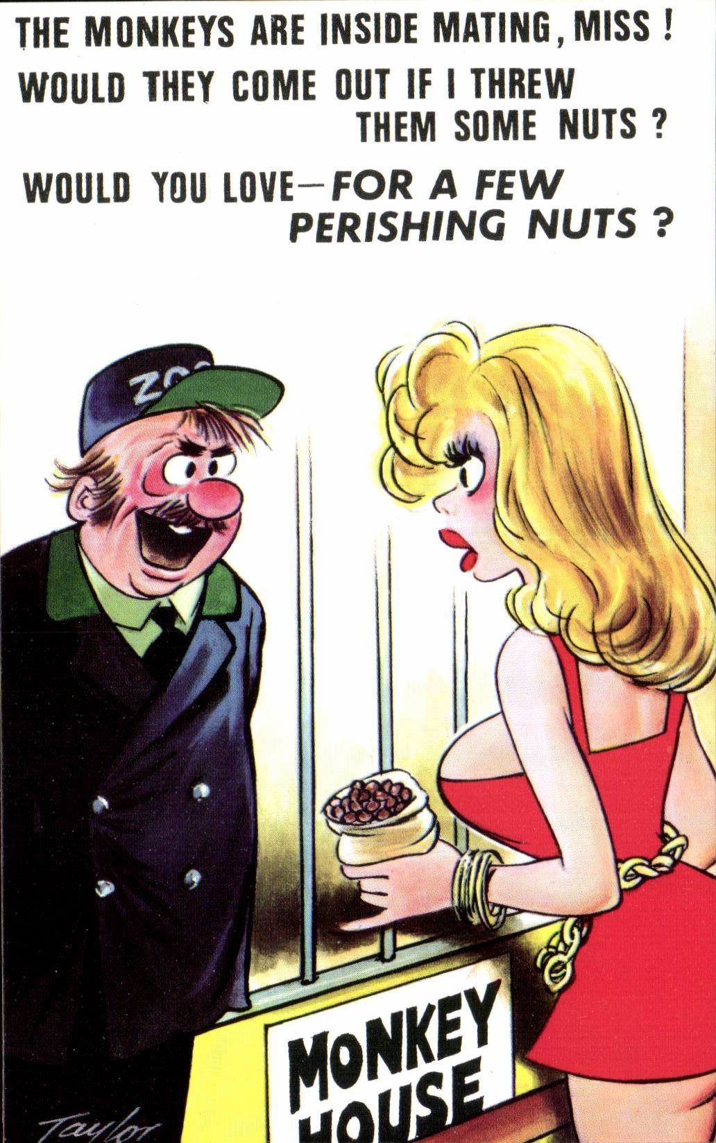 Humour - Illustration - The monkeys are mating miss- CPA 