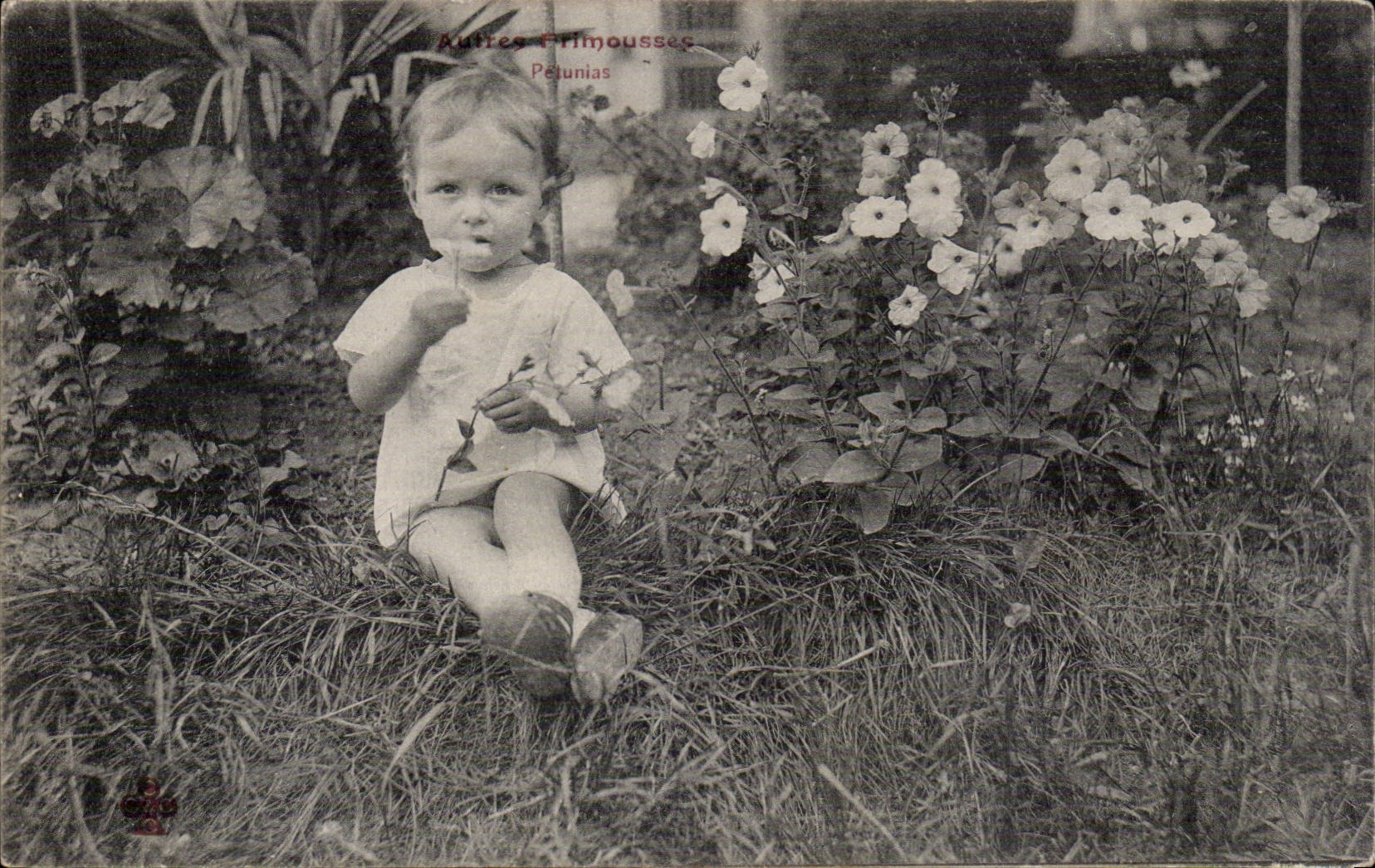 Fantasia - nino - bebe - flores que huelen del bebe - CPA