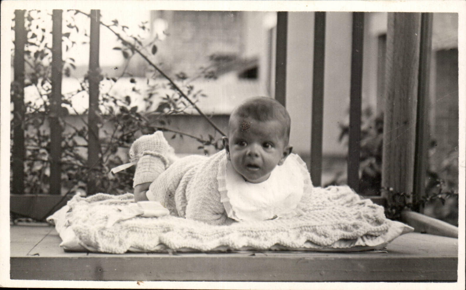 Bebe verdadero del nino del bebe del nino de la foto