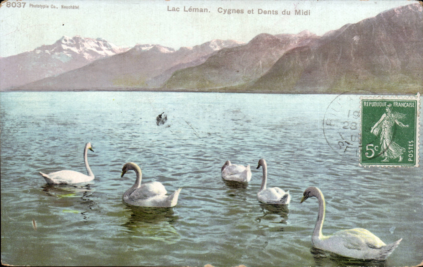 Lake Leman - Swans and Teeth of the South - CPA Swan Swan
