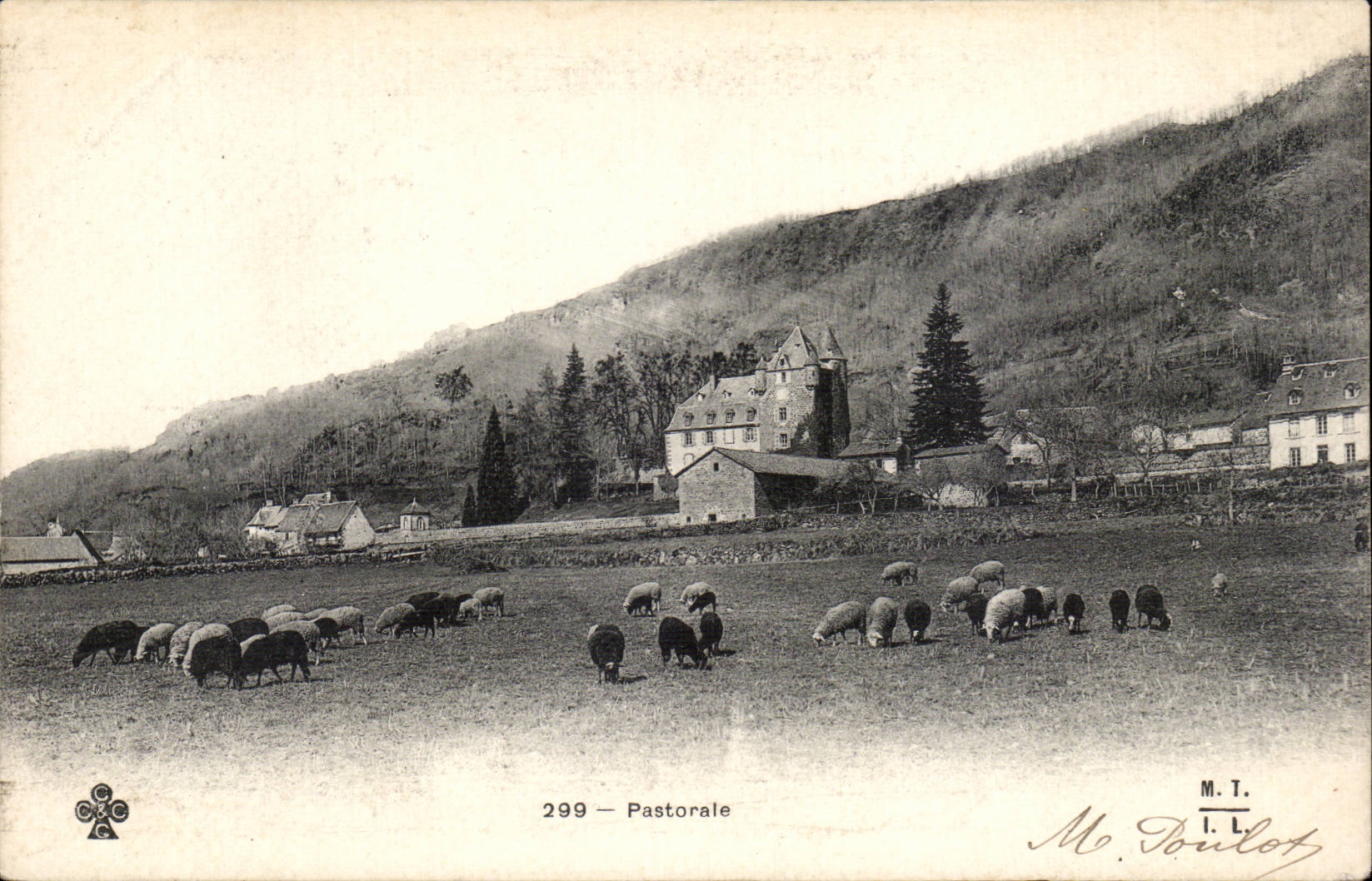 Pastoral - sheep - sheep - CPA