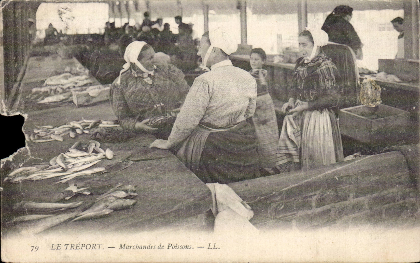 Pescados comerciales Treport de CPA