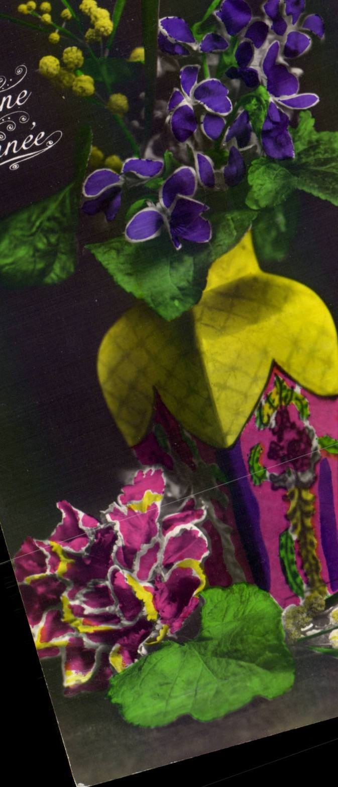 CPA Fantaisie Fleurs Bonne annee
