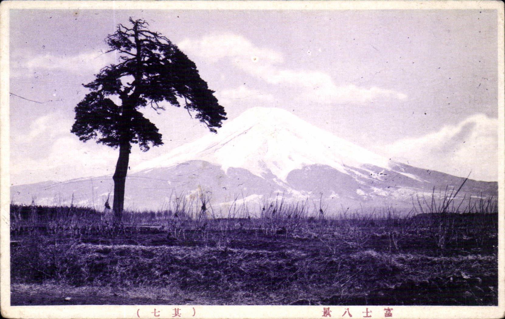 CPA Japan Japan Japanese