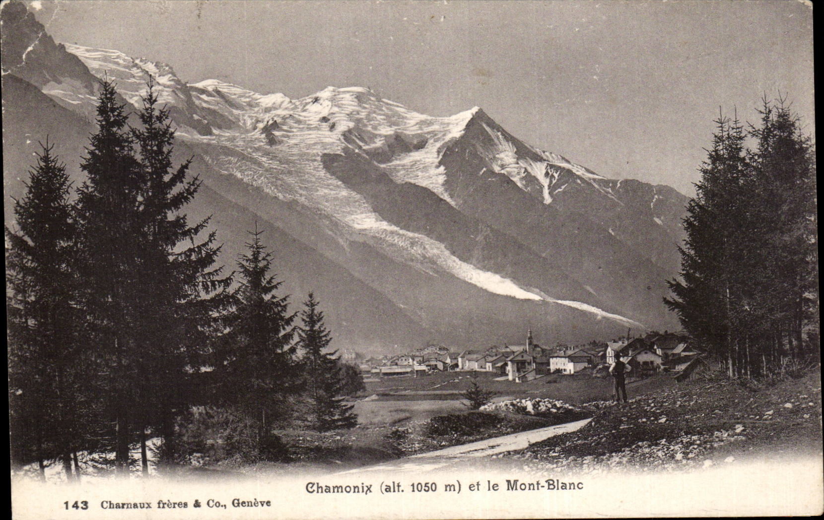 CPA Chamonix et le mont Blanc