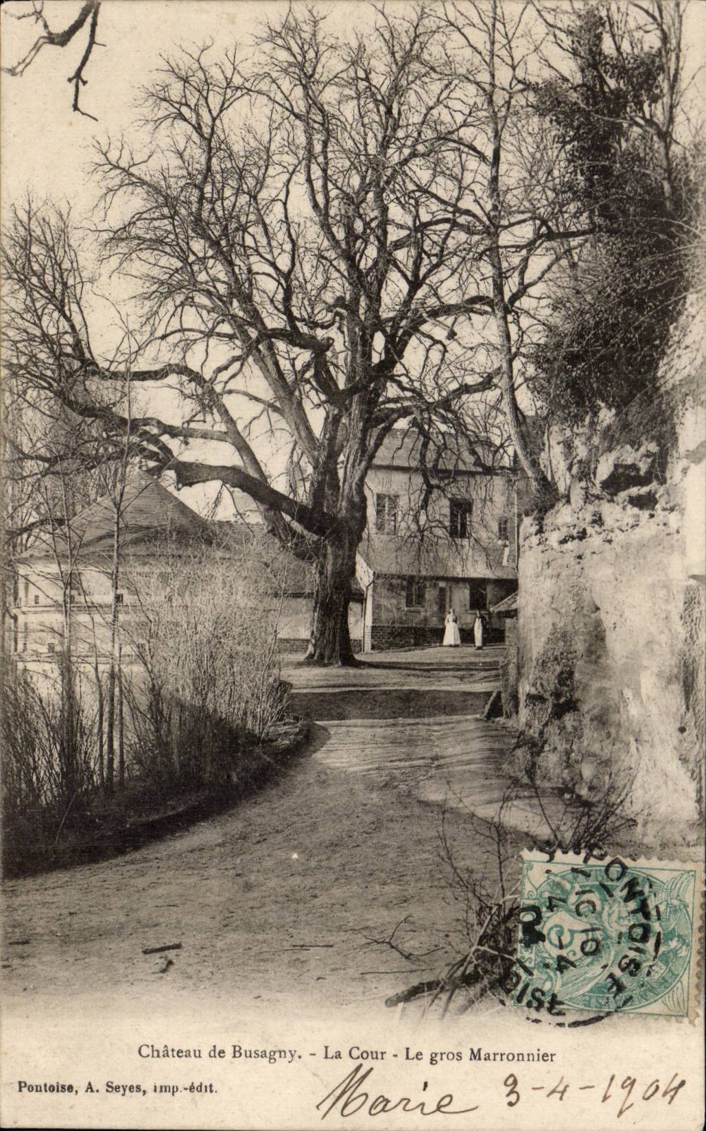 Castillo de CPA de la corte de Busagny el arbol de castana grande