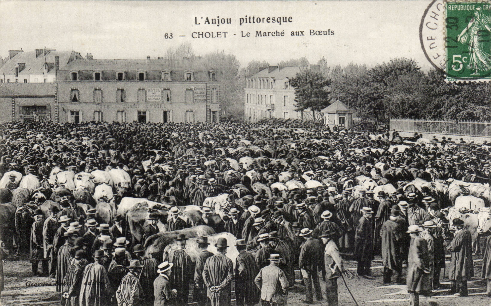 CPA Anjou Cholet Le marche aux boeufs TOP