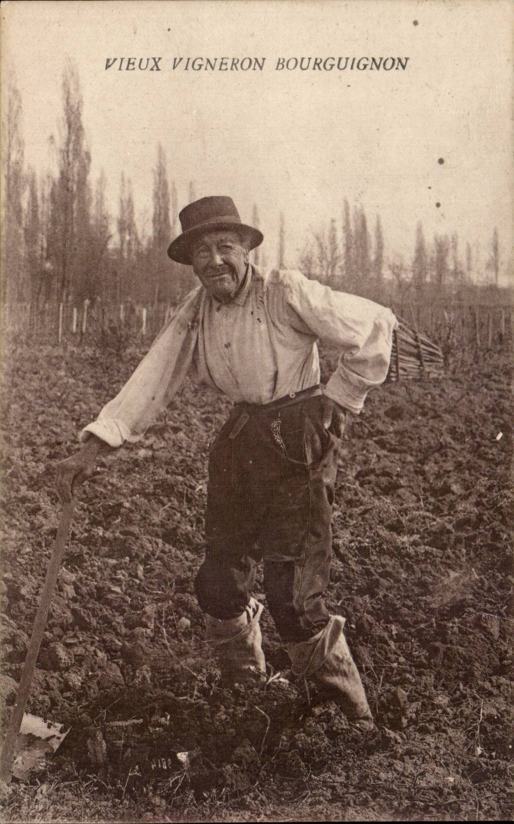 Folklore - Costumes - Old man Burgundian Vine grower CPA