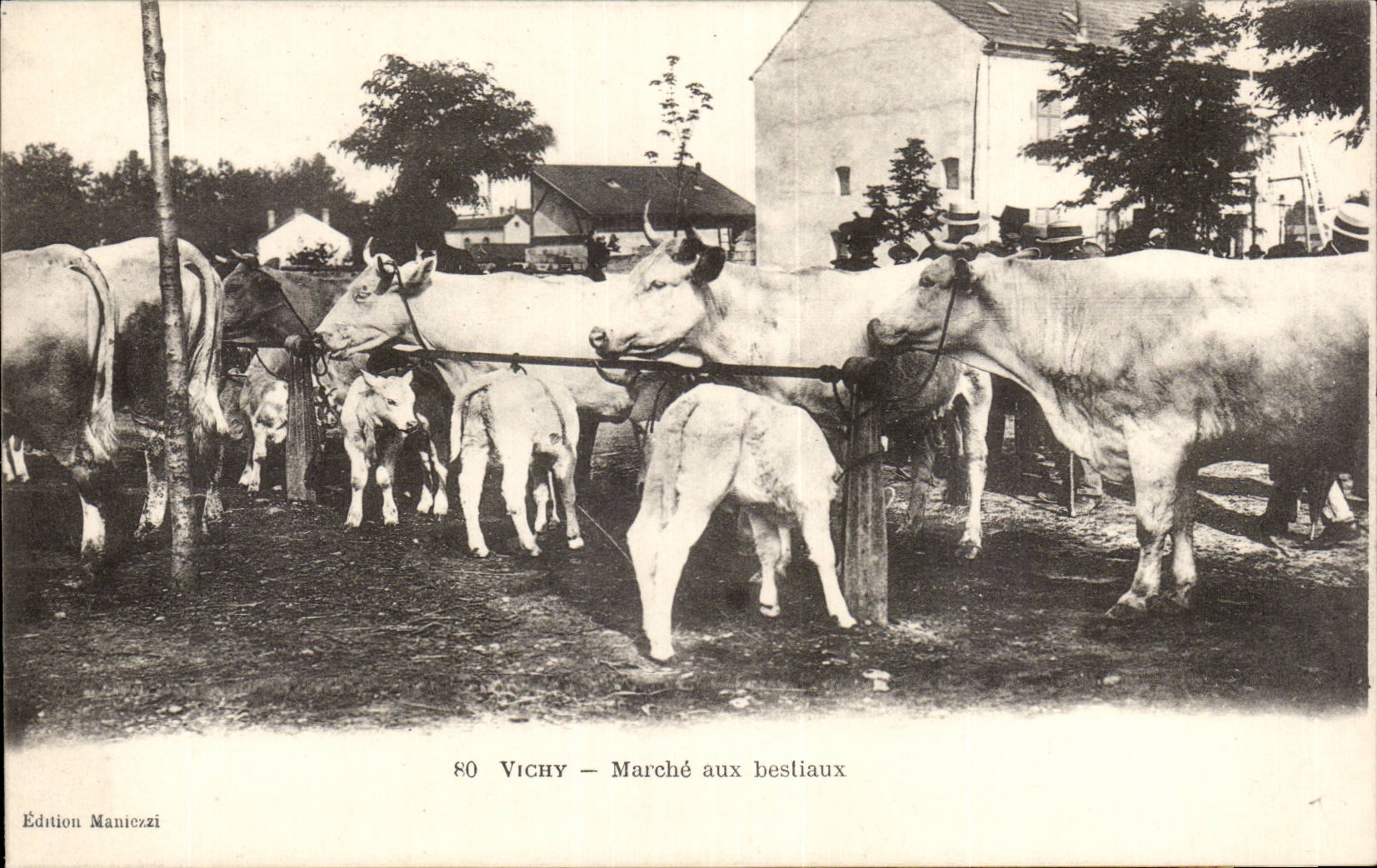 Vichy - Marche aux bestiaux - CPA 