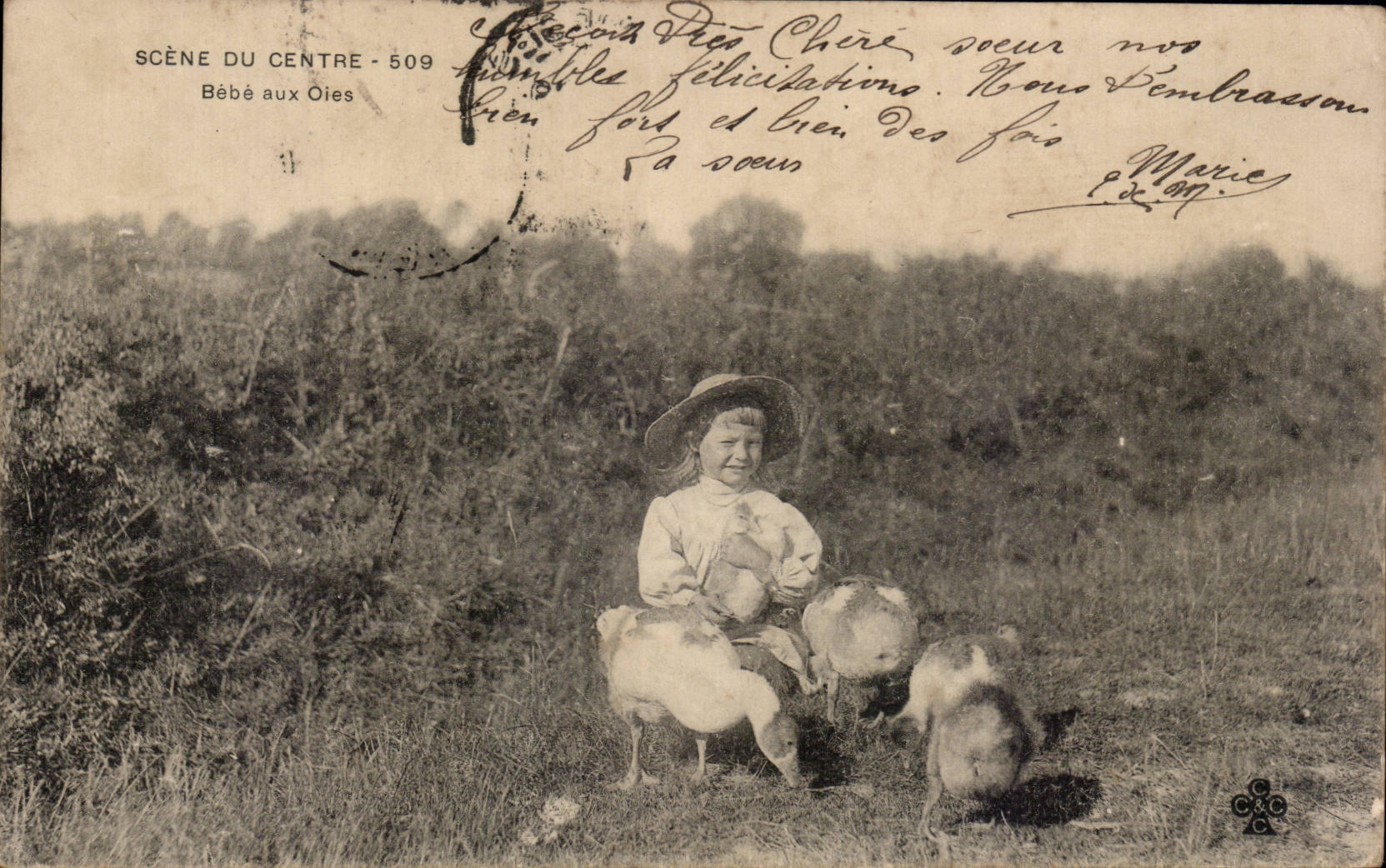 Escena de CPA del bebe de centro a la TAPA del nino de los gansos