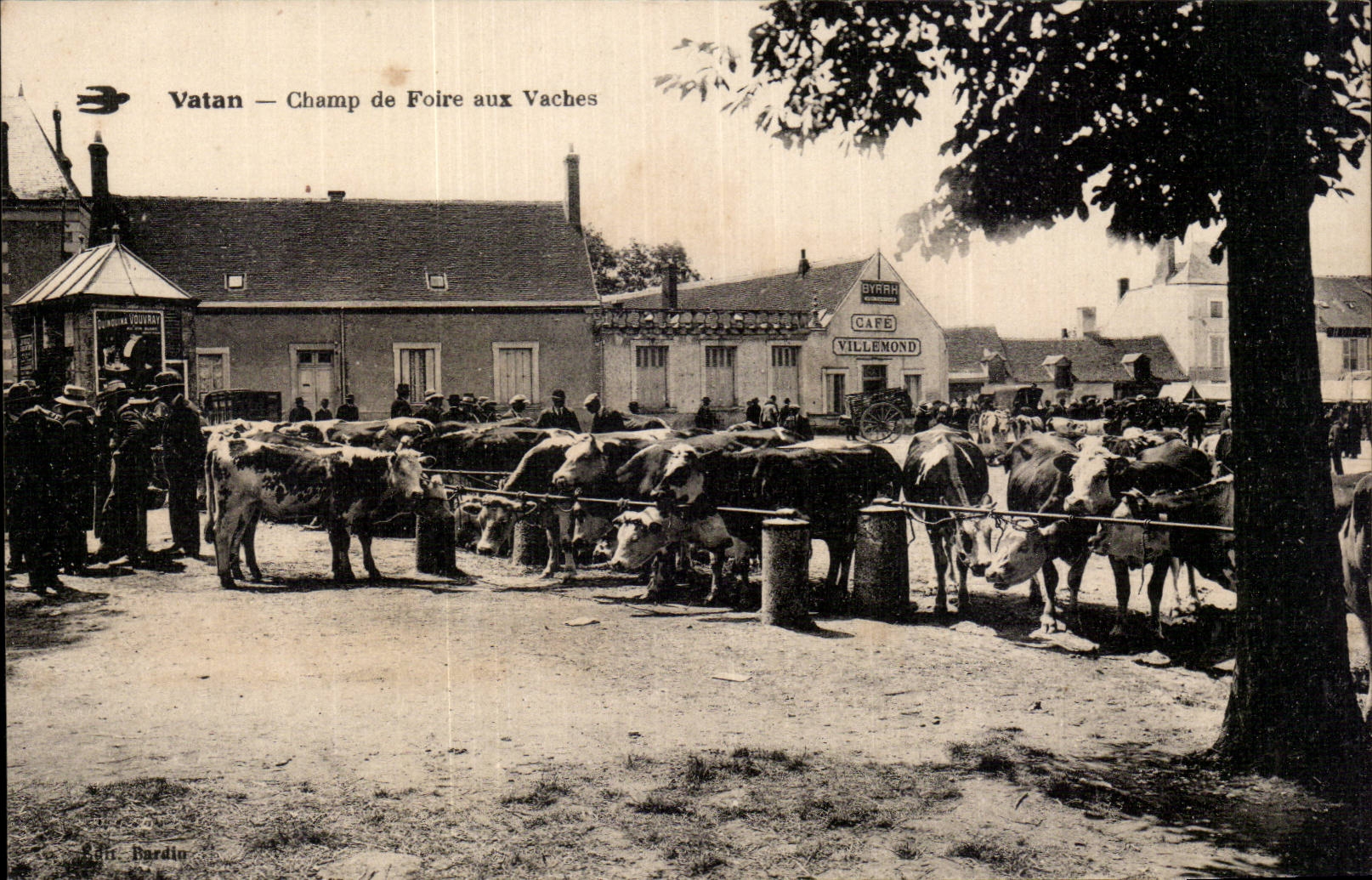 Parque de atracciones de CPA Vatan a las vacas