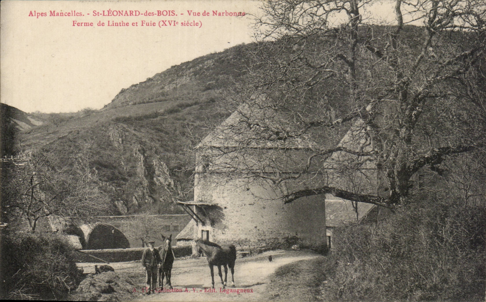 CPA St leonard des Bois Vue de Narbonne Ferme de Linthe et fuie 