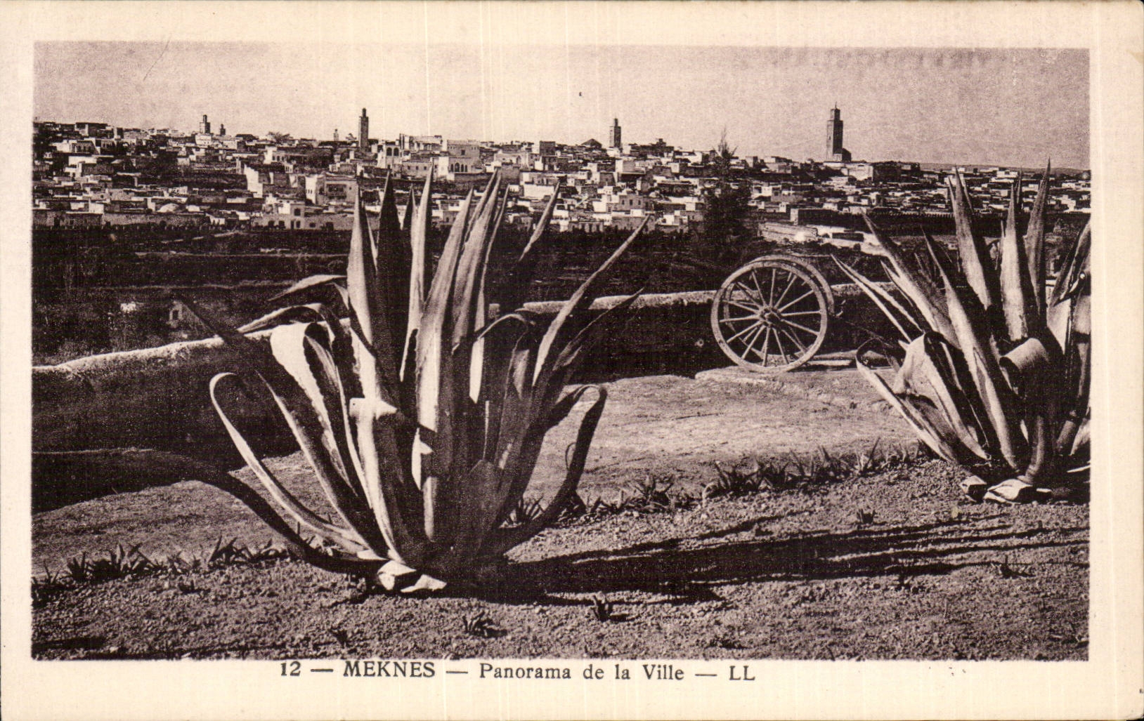 CPA Morocco Panorama of the city