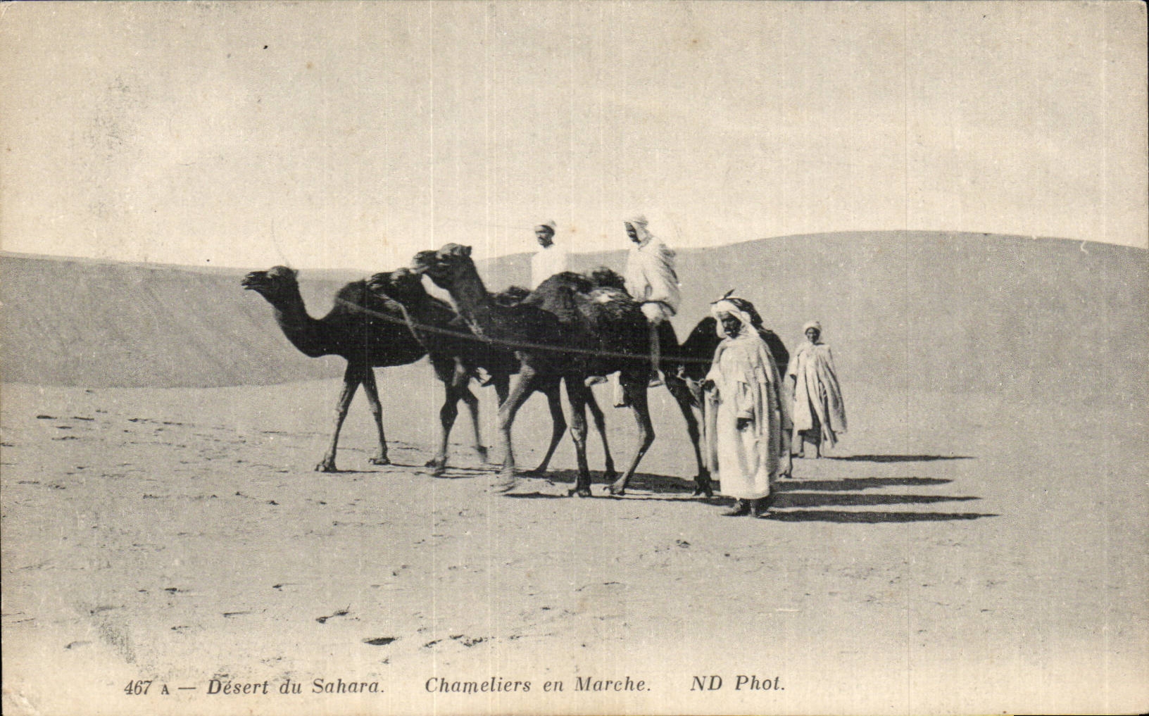 Servicios de CPA del Sahara Chameliers en mercado