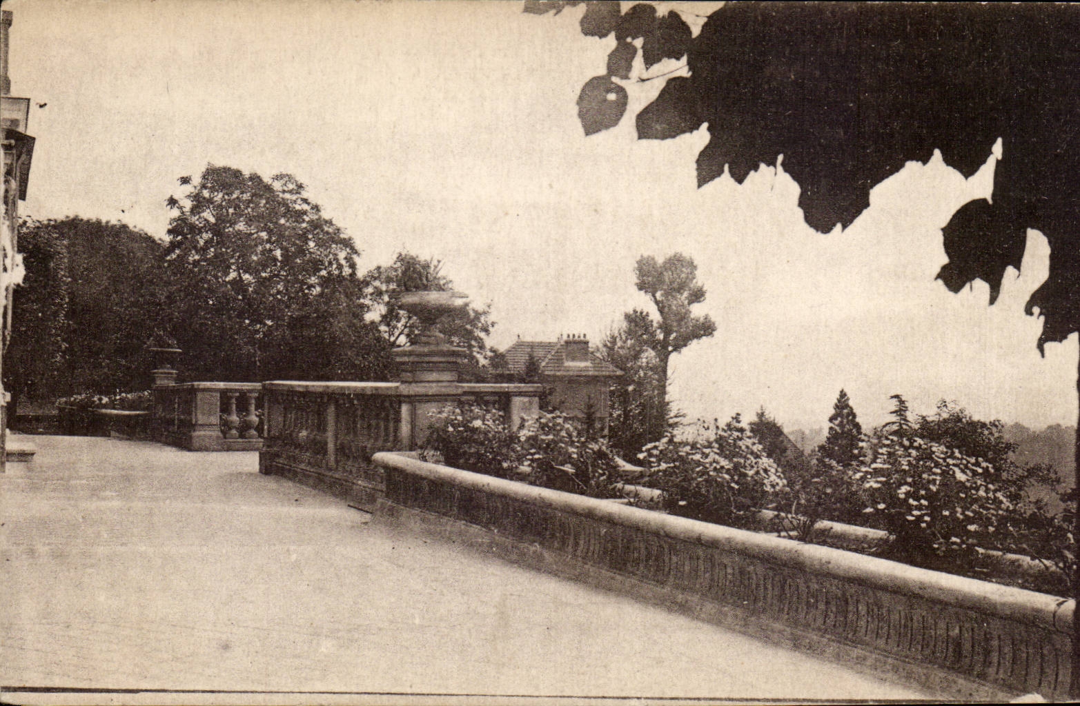 CPA Hedges Clinical surgical private the terrace