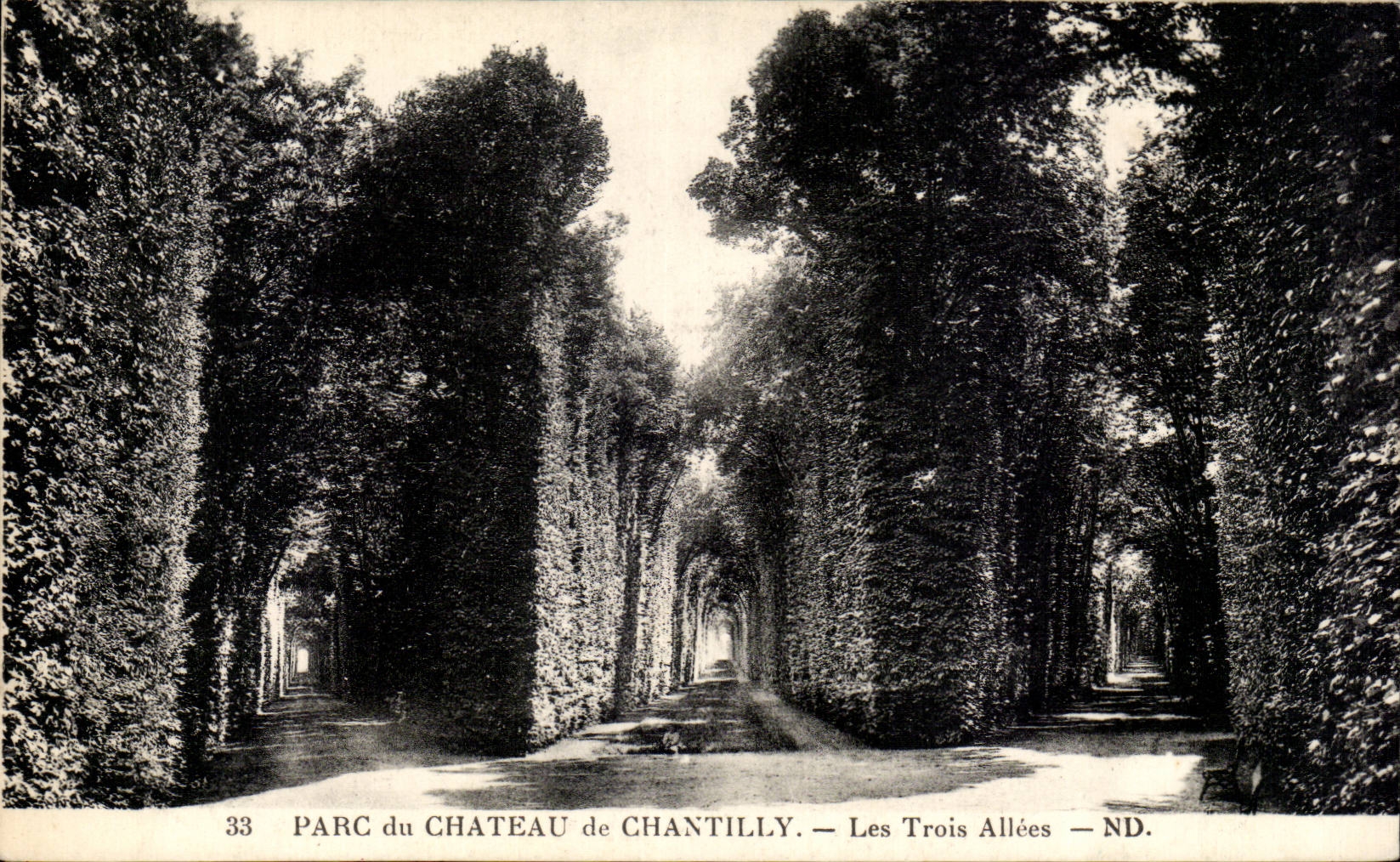 CPA Parc du chateau de Chantilly Les trois allees