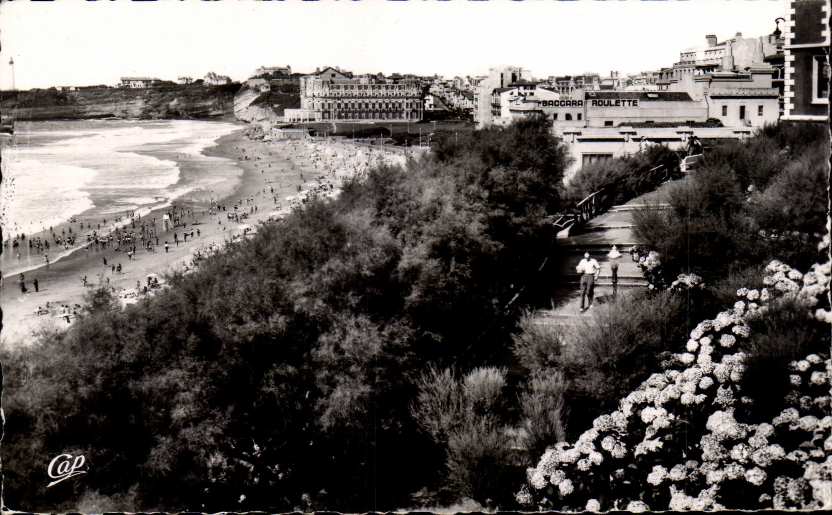 CPA Biarritz the beach and hydrangeas