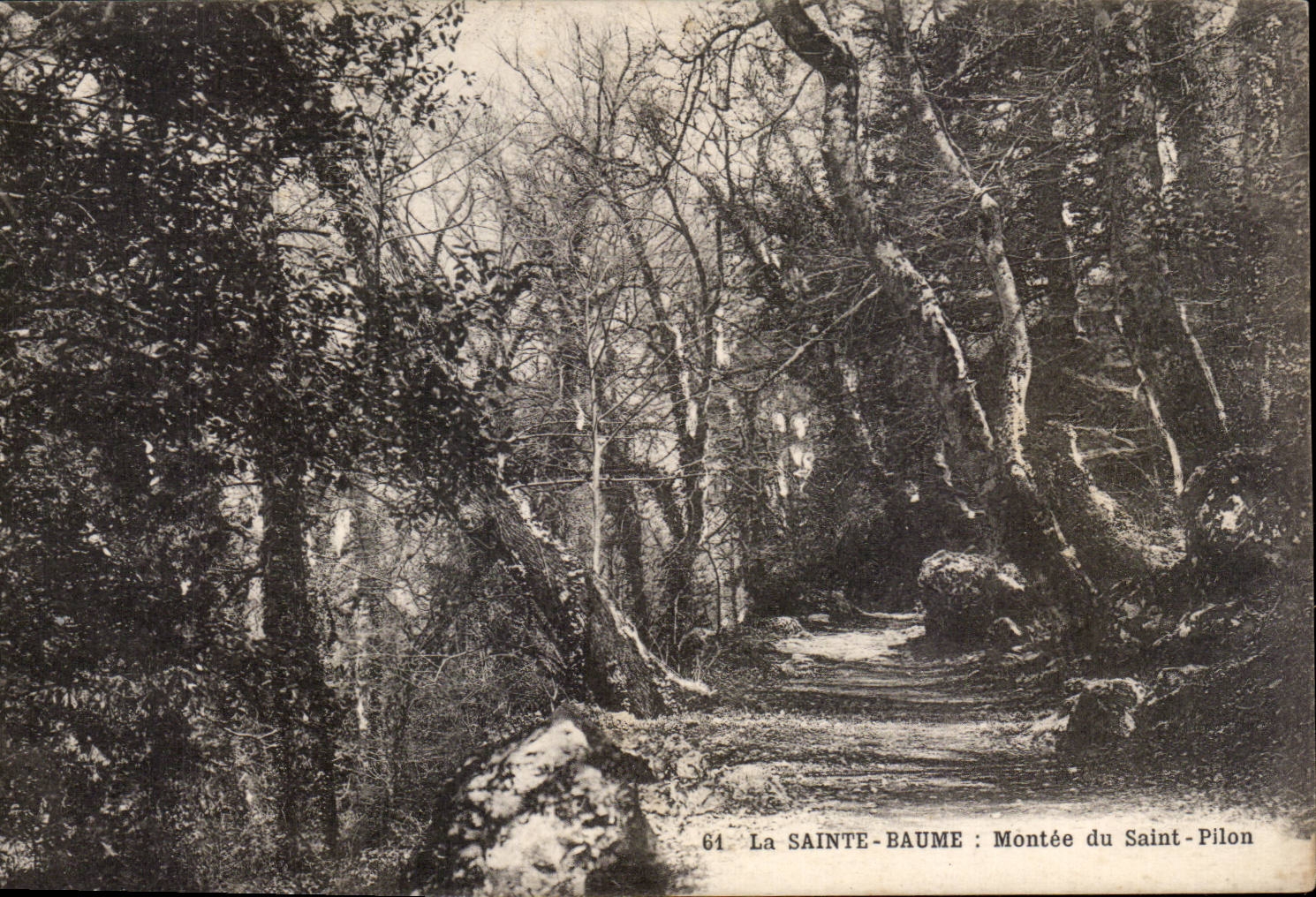 CPA La SAinte Baume Montee du Saint Pilon