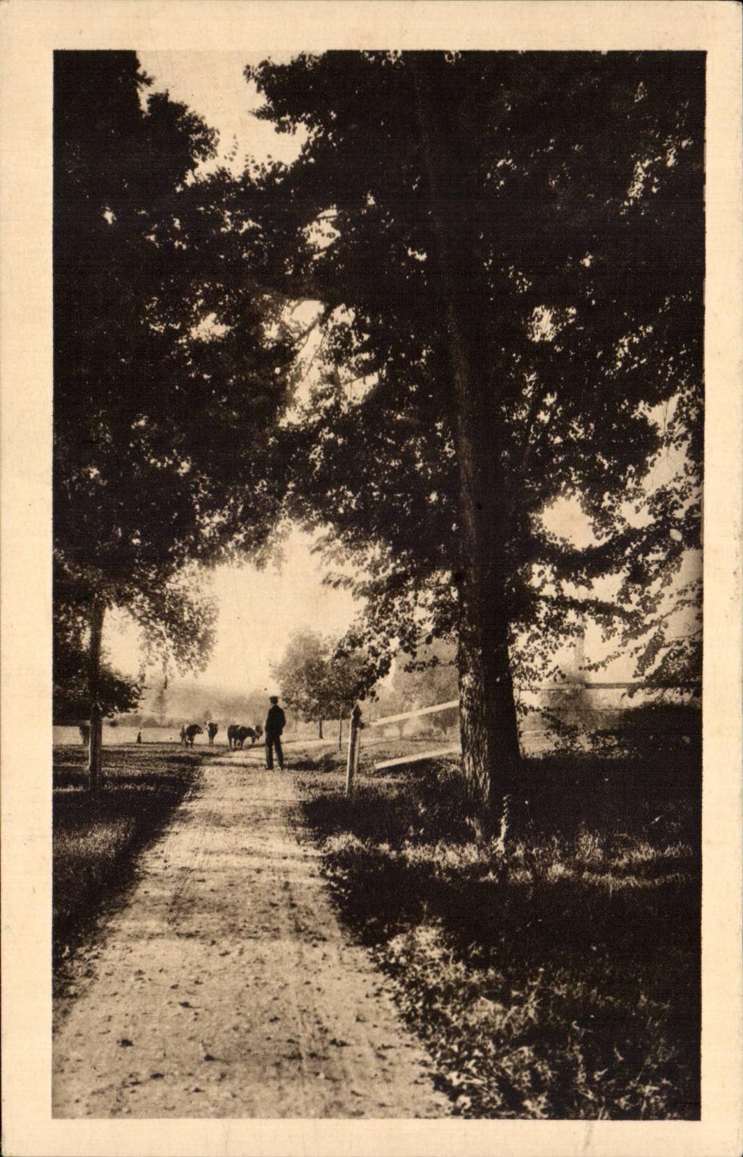 CPA Vendeuvre de Poitou La praire du chateau de Labarum