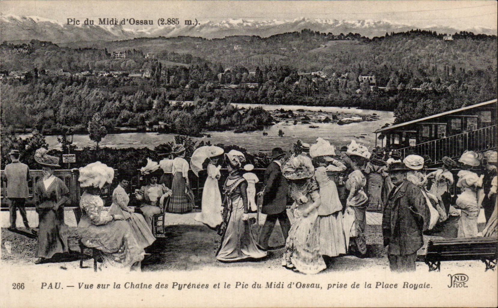 Pau - Sight on the Chain of the Pyrenees and the Peak of the South - CPA