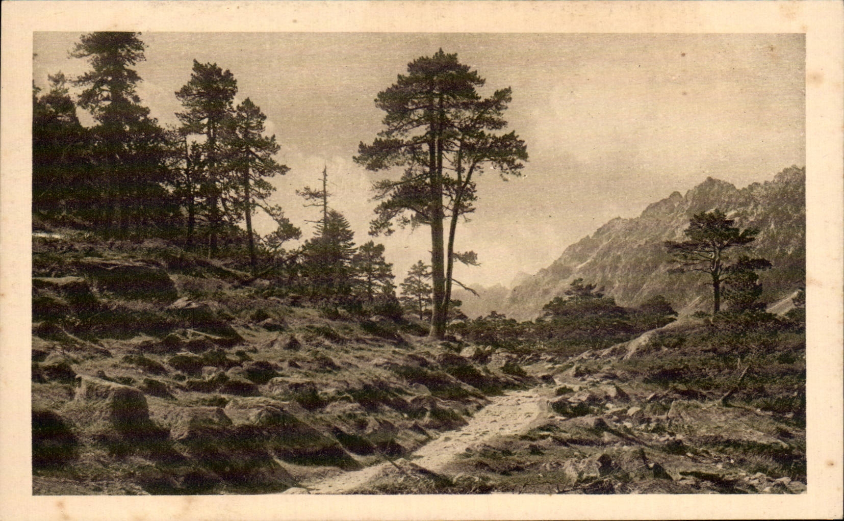 Cauterets - Way of the Lake Gaube - CPA
