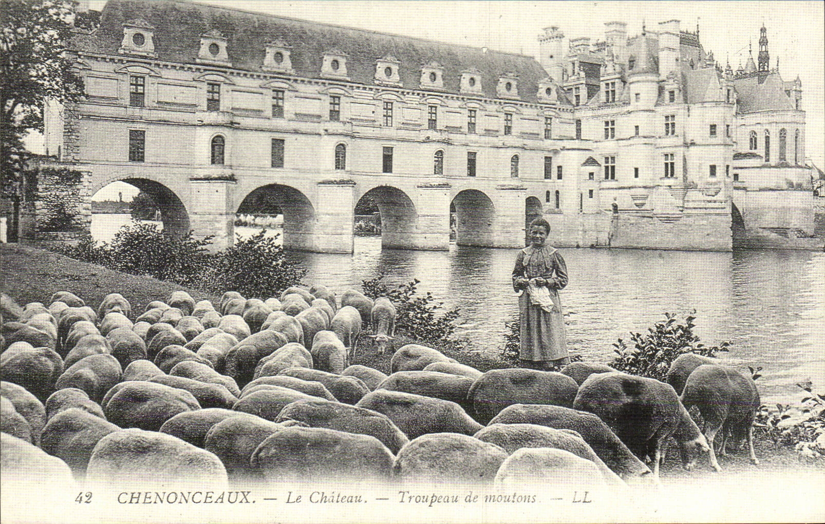 REPRO Chenonceaux - Le Chateau - Troupeau de Moutons - CPA