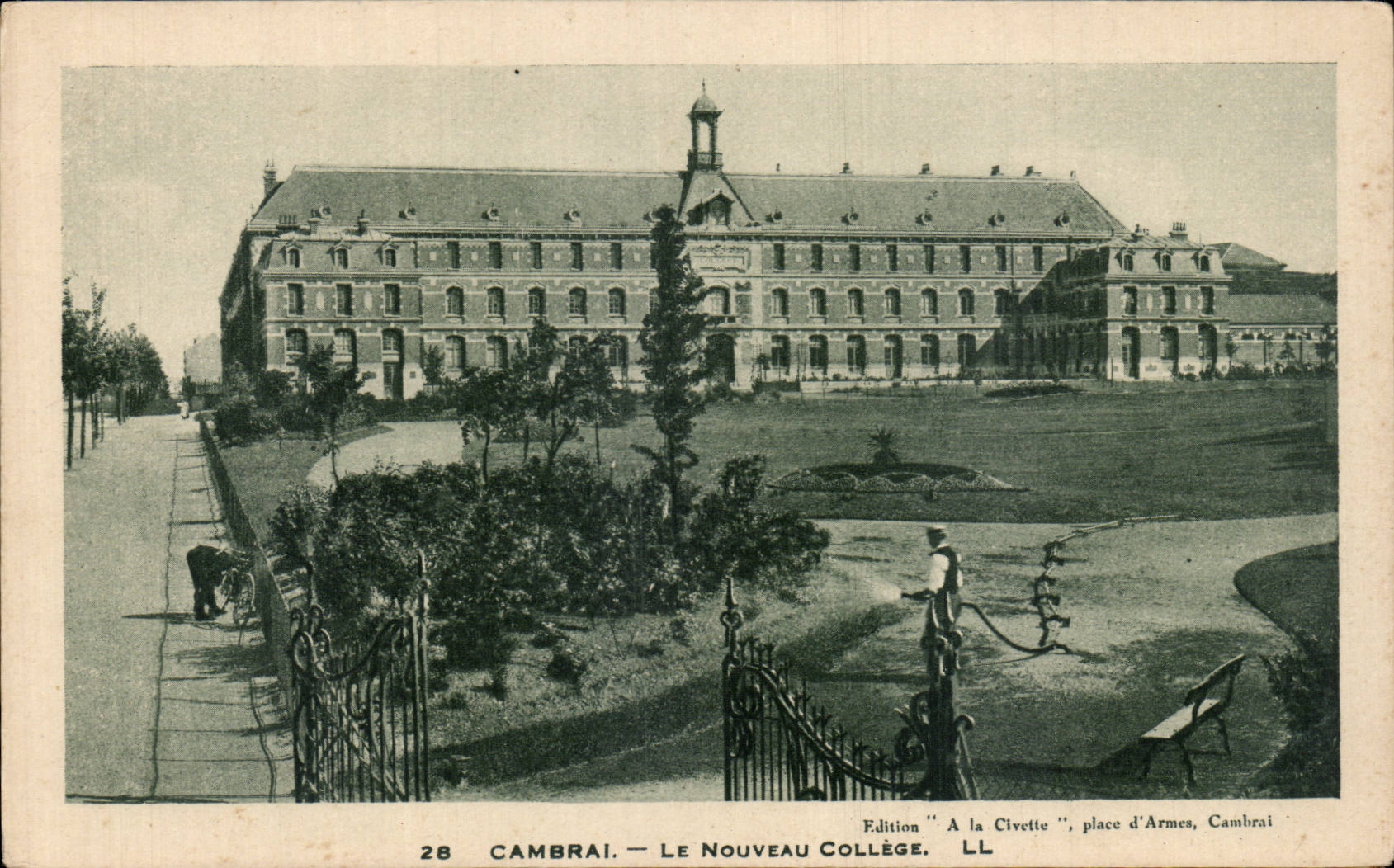 Cambric - the New College - CPA