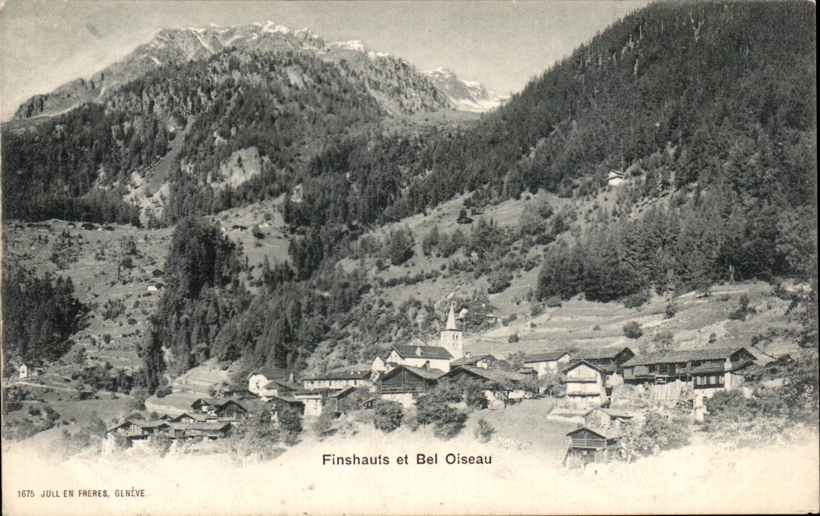 Switzerland - Geneva - Geneva - Finshauts and Bel Bird - CPA