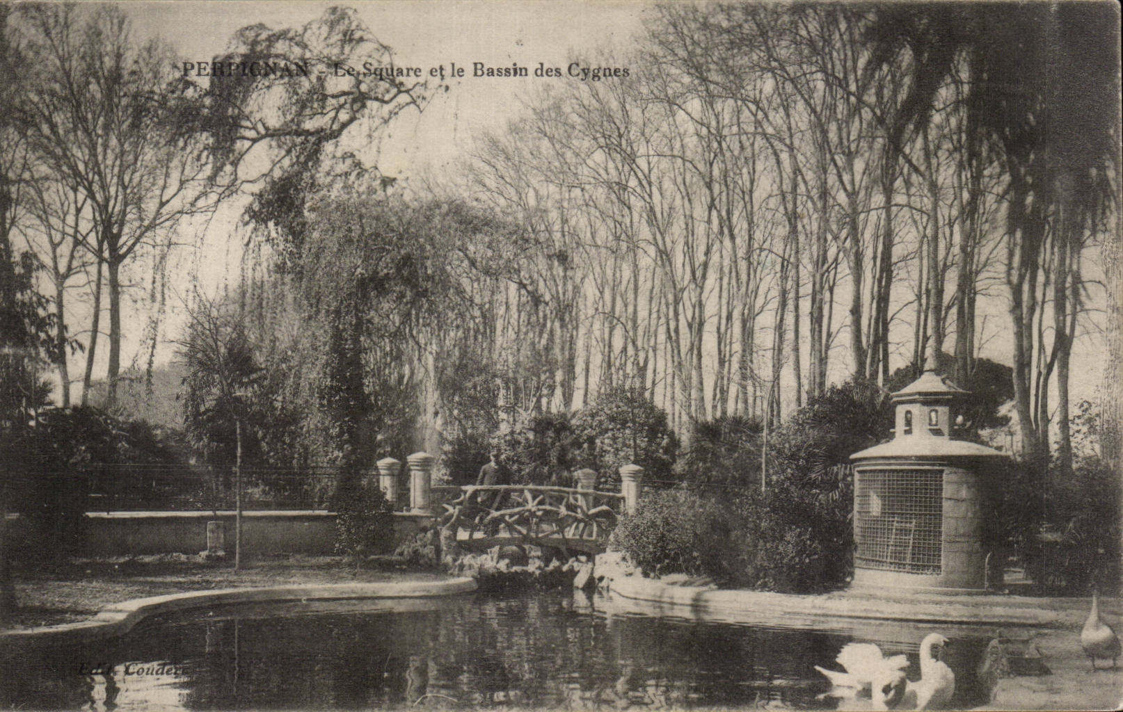 CPA Perpignan Le square et le bassin des cygnes