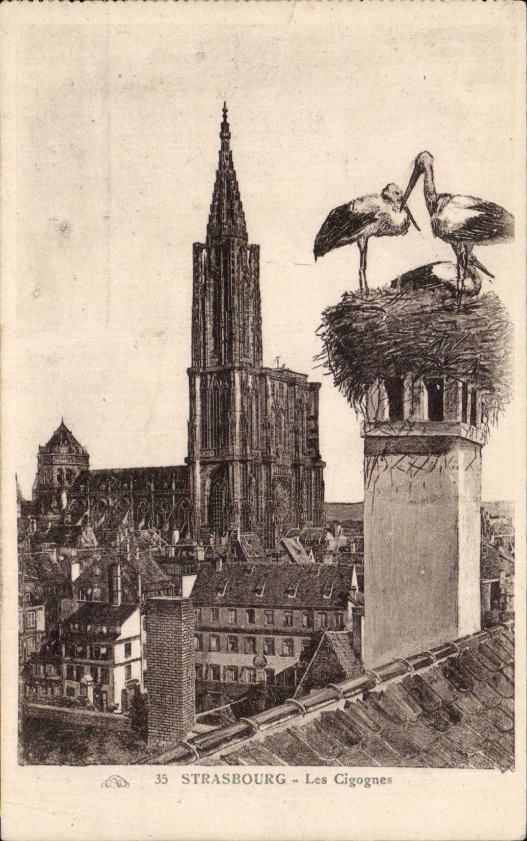CPA Strasbourg storks
