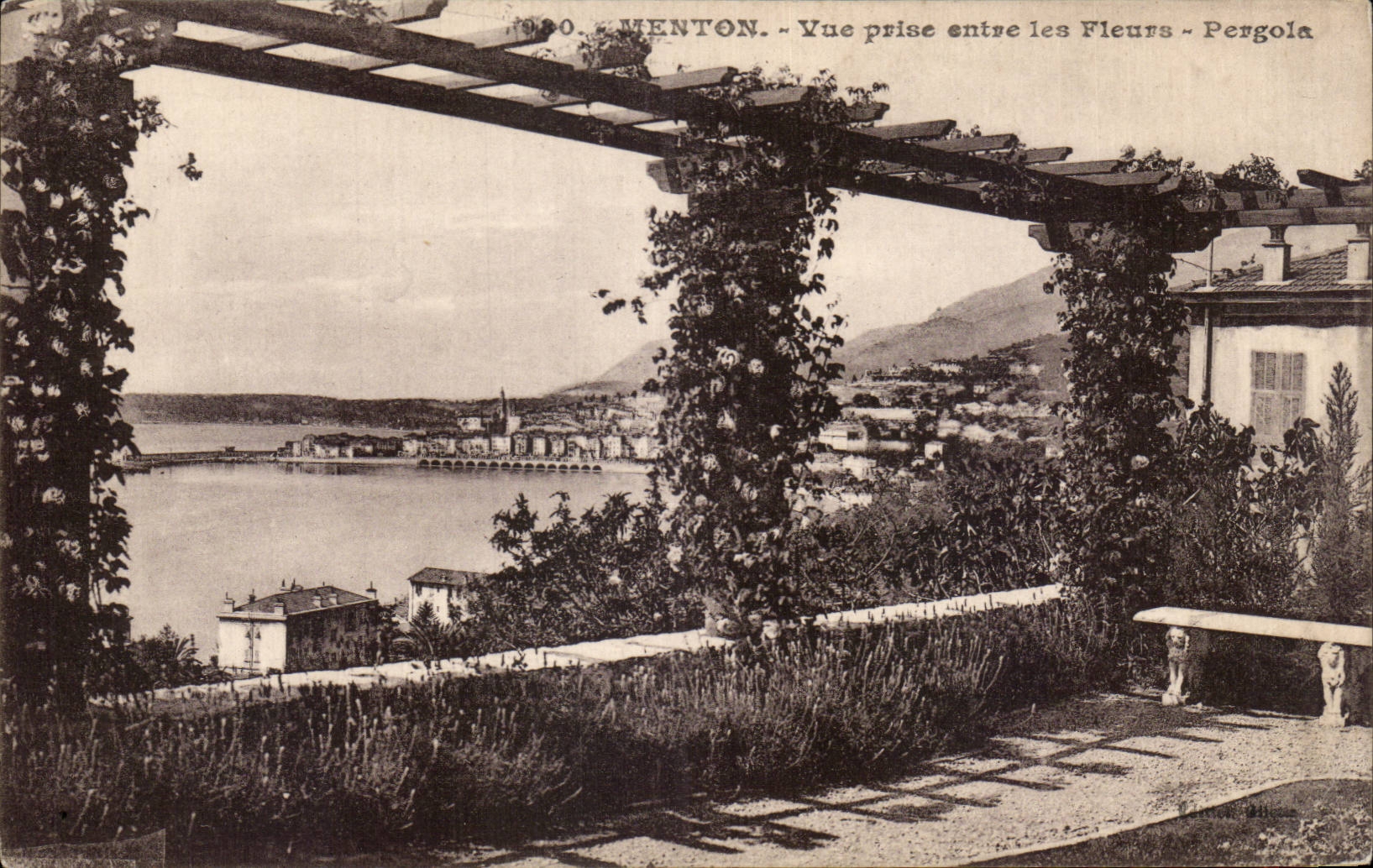 CPA Menton Seen from between the flowers Pergola